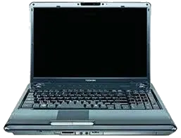 Satellite P305D